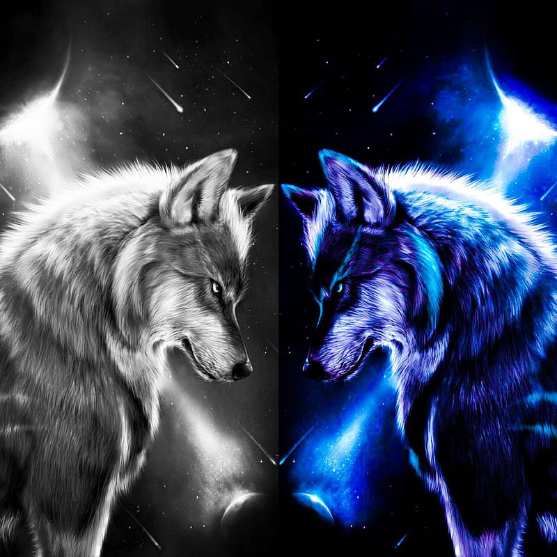 HD-wallpaper-wolf-wall-4-wolves