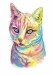 tisknutelný-akvarelový-portrét-duhové-kočky-pro-milovníky-mazlíčků-dárek-7