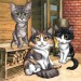 3-kočky-barevná-kreslená-karikatura-z-fotografií-1