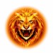 depositphotos_40433035-stock-illustration-head-of-fire-lion
