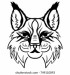 hand-drawn-lynx-head-animal-260nw-749110093
