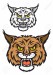 21317747-head-of-lynx-or-bobcat-for-sport-team-mascot-design-with-angry-emotions