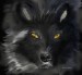 black-wolf-with-yellow-eyes-angela-a-stanton