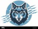 head-of-serious-wolf-with-claws-background-vector-design-2HMPC4B