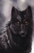 black_wolf_by_annasko_d6eu8du-pre