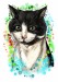 černá-a-bílá-kočka-kreslený-portrét-s-tyrkysovým-pozadím-ve-stylu-akvarelu-0