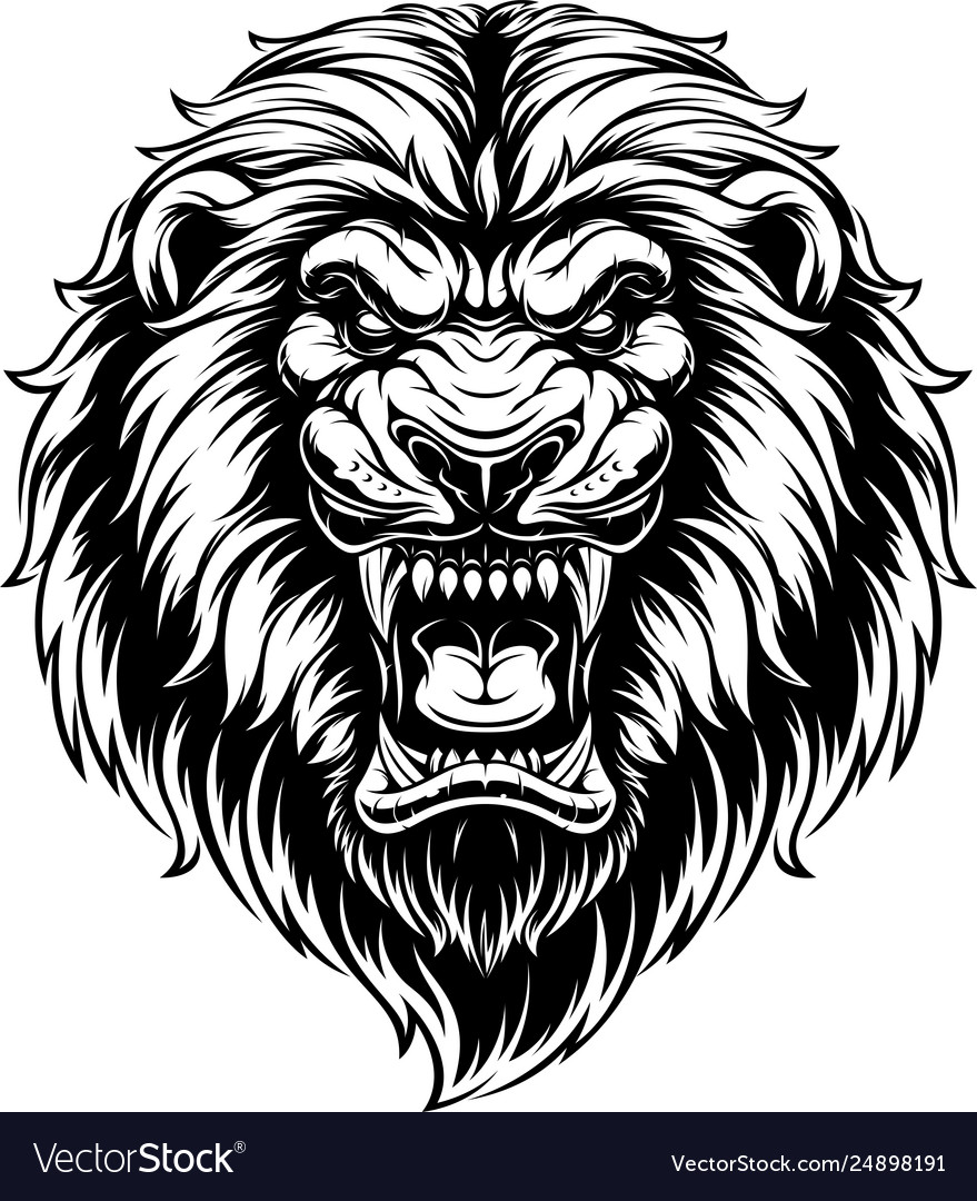 ferocious-lion-head-vector-24898191