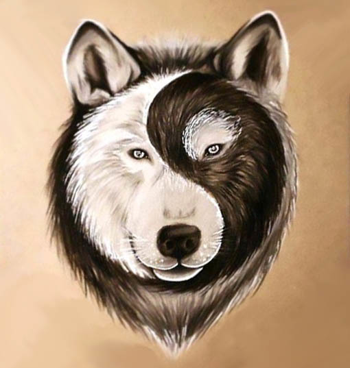 best-yin-yang-wolf-face